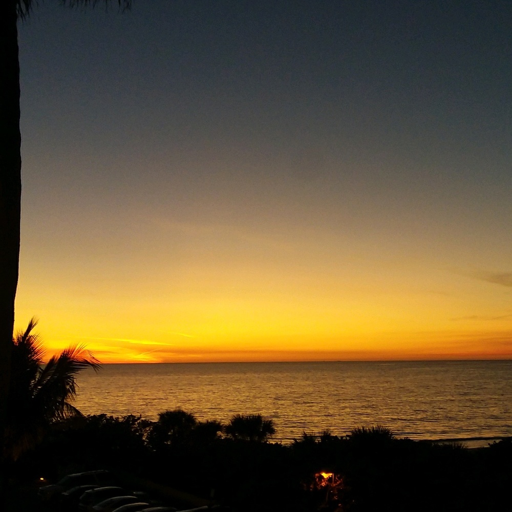 Meet your Posher, Dawn